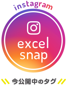 instagram excelsnap