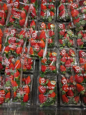 茨城県産いちご｜フレッシュ 丸果のショップニュース｜水戸駅ビル