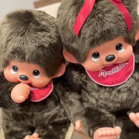 2Lサイズの超BIGなモンチッチがお迎え可能になりました！｜グラン