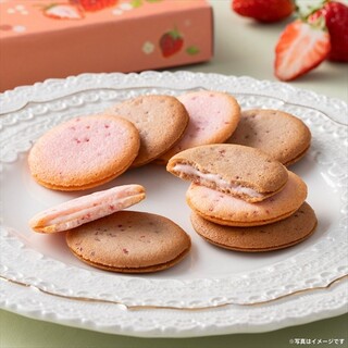 サブレショコラ 桜 アソートメント 5個入｜ゴディバのショップニュース