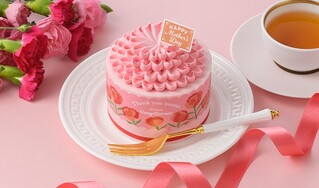 ☆母の日限定商品☆【母の日コージープリンセス】｜銀座コージー