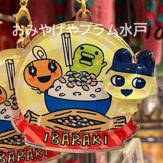 ご当地カレーハローキティ｜おみやげや プラム水戸のショップニュース