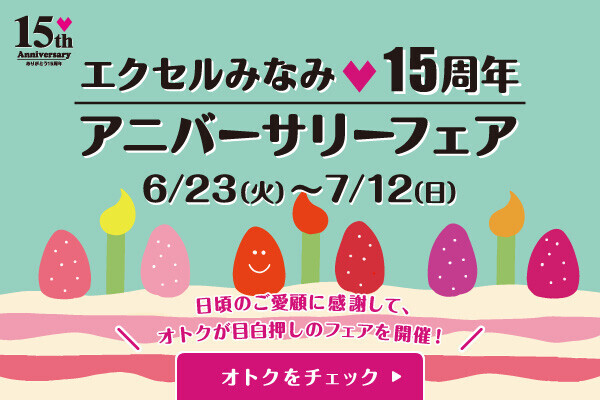 エクセルみなみ15周年フェア